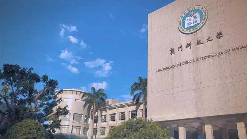 港澳升学就业优势解析，仰星升学解读留服认证、考公落户政策
