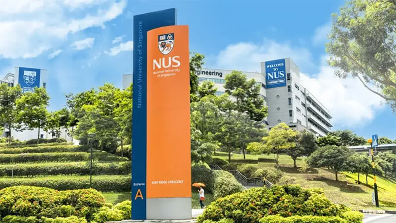 新加坡公立大学扩招 AI 相关专业，内地生录取标准提升